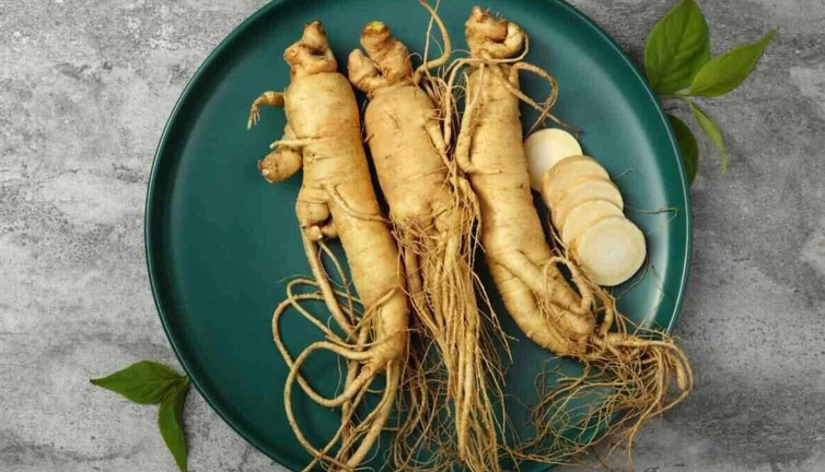 Kan şekerini dengeliyor. Bağışıklığı güçlendiriyor. Unutkanlığa savaş açıyor. İşte şifa saçan ot