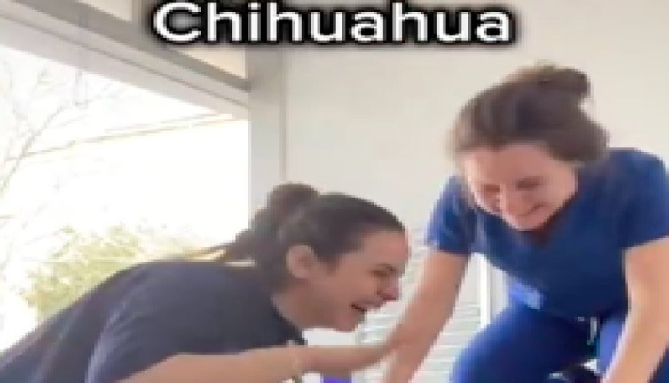 Veteriner hekimlerden kan veren köpeklerin komik taklitleri