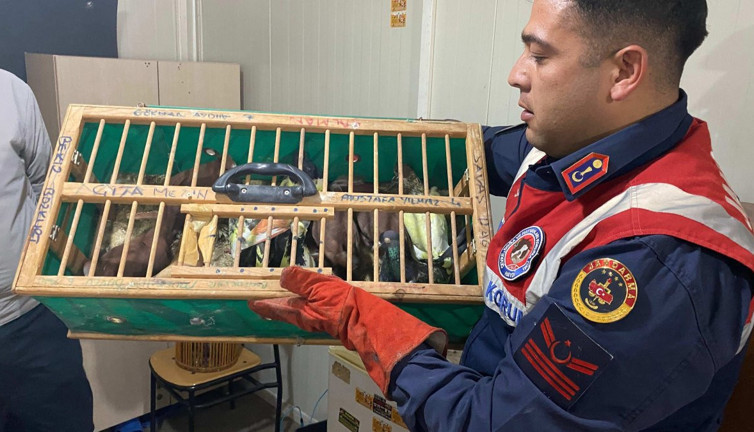 Jandarma otomobilde ele geçirildi! Hint horozu, keklik, güvencin ne ararsan var