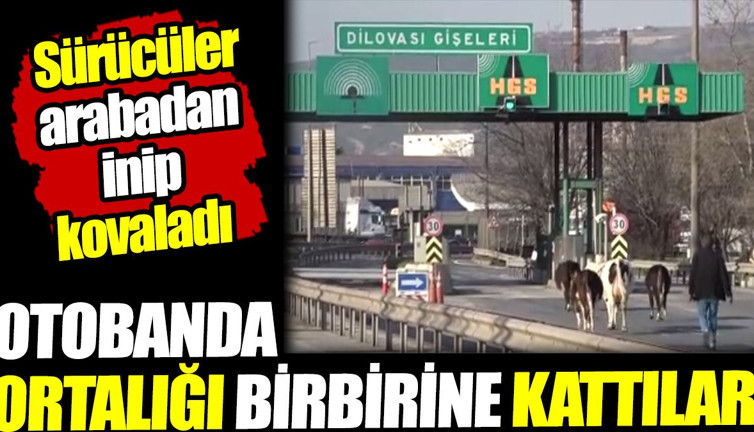 Otobana girip ortalığı birbirine kattılar! Sürücüler arabadan inip kovaladı