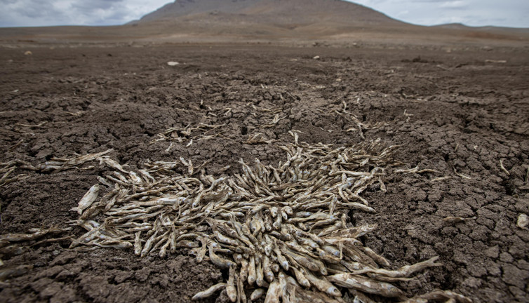 Efsane May Barajı'nda acı manzara! Tamamen kurudu