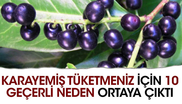 Karayemiş tüketmeniz için 10 geçerli neden ortaya çıktı