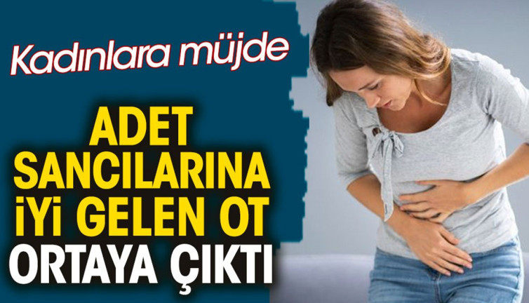 Kadınlara müjde. Adet (Regl) sancılarına iyi gelen ot ortaya çıktı