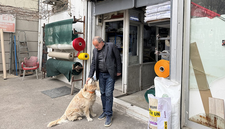 Köpekten kaçarken düşüp diz kapağı kırılmıştı. 315 bin lira tazminat kazandı