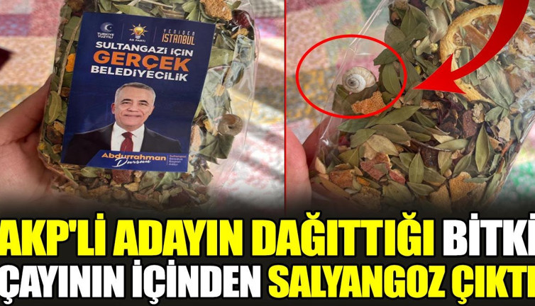 AKP'li adayın dağıttığı bitki çayının içinden salyangoz çıktı