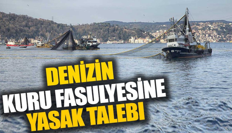 Denizin kuru fasulyesine yasak talebi