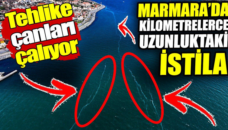 Kilometrelerce uzunluktaki istila Marmara'yı sardı! Tehlike çanları çalıyor