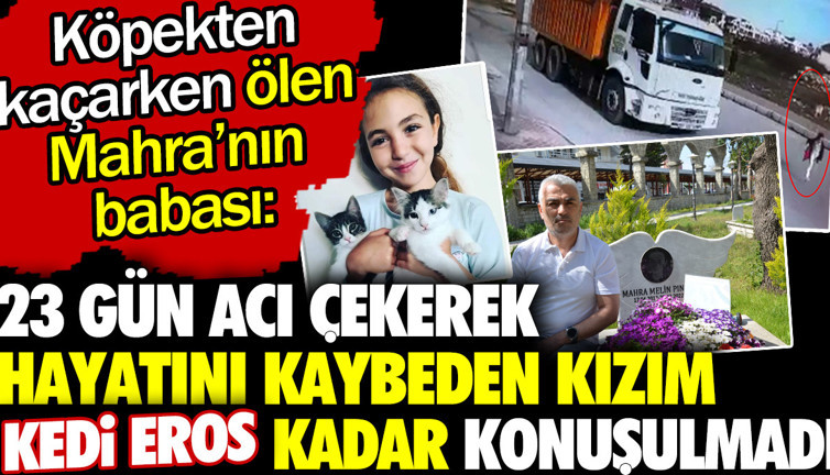 Köpekten kaçarken ölen Mahra'nın babası 'kızım Kedi Eros kadar konuşulmadı'