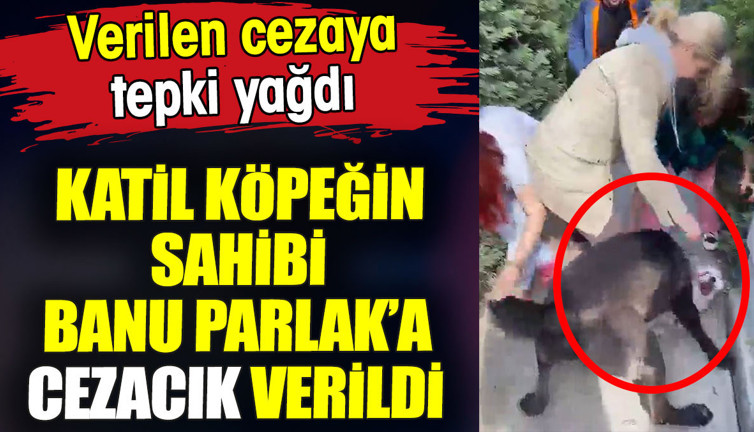 Katil köpeğin sahibi Banu Parlak'a cezacık verildi. Verilen cezaya tepki yağdı