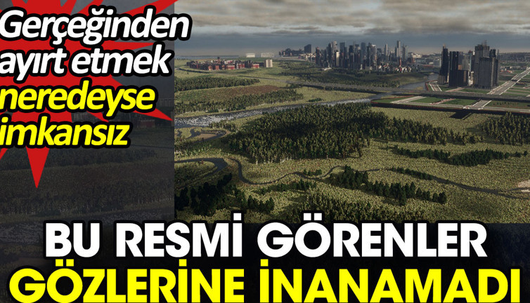 Bu resmi görenler gözlerine inanamadı. Gerçeğinden ayırt etmek neredeyse imkansız