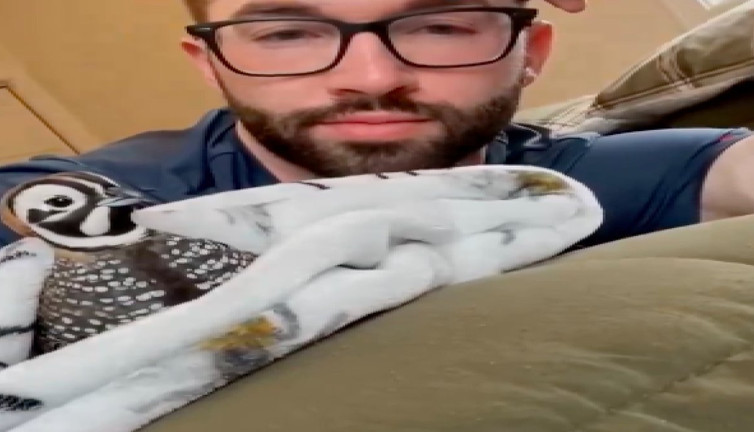 Genç adamın duygulandıran davranışı: Ormanda bulduğu yavru bıldırcının hayatını kurtardı