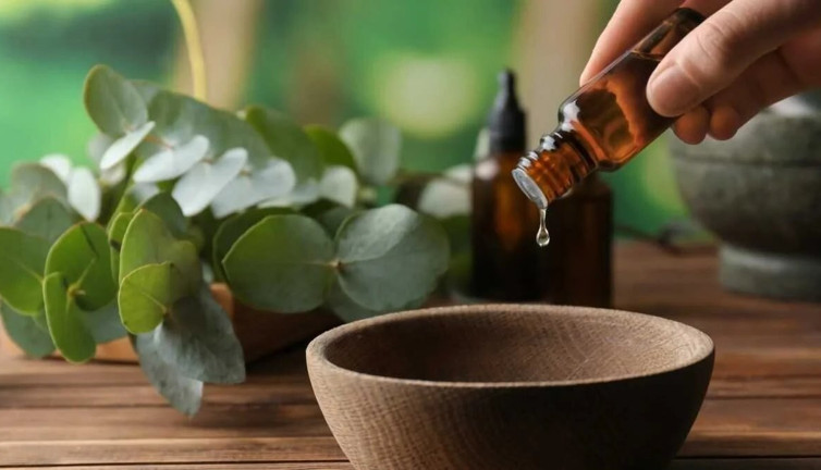 Ülsere faydalıdır. Sivrisinekleri uzak tutar. İşte şifa deposu ot