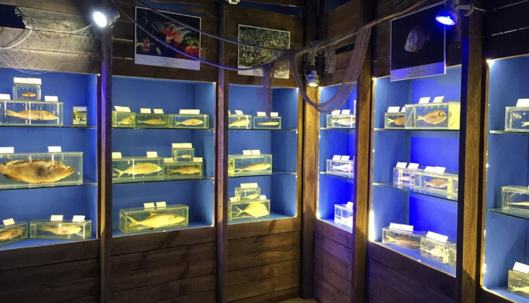 Antalya Deniz Biyolojisi Müzesi boşaltılıyor