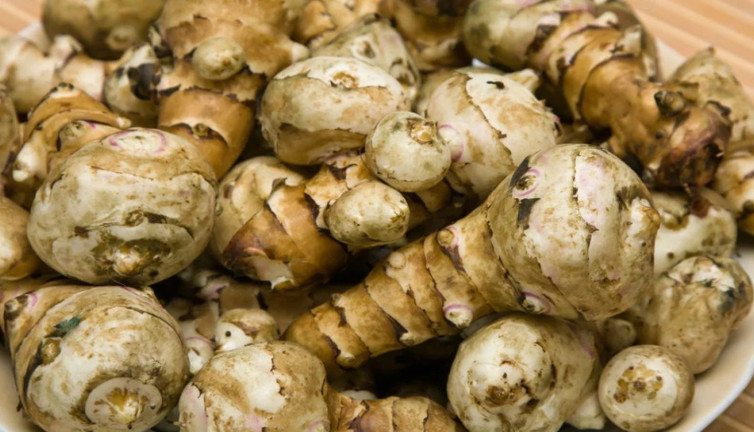 Sunro otu nelere iyi geliyor? İşte mucizeleri....