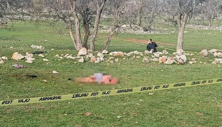 Köpekler yaşlı kadını parçaladı. Bu kaçıncı vahşet. Mezarlık ziyaretine gidiyordu