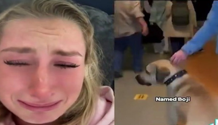 Boji'nin dokunaklı hikayesi dünya gündemine damga vurdu: İzleyenleri gözyaşlarına boğdu!