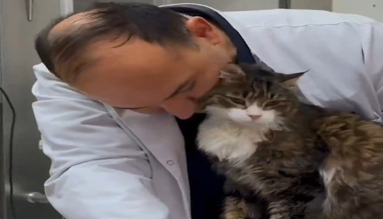 CHP'nin kedisi Şero, hastalık dönemini atlatarak sağlığına kavuştu: 20 yaşına girecek