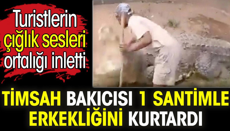 Timsah bakıcısı 1 santimle erkekliğini kurtardı. Turistlerin çığlık sesleri ortalığı inletti