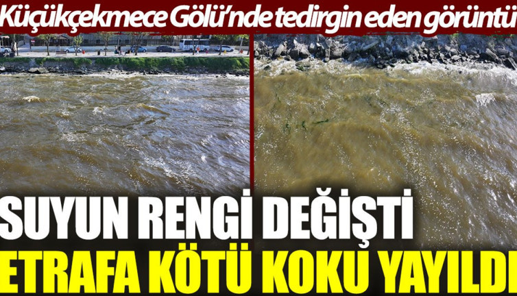 Küçükçekmece Gölü'nde tedirgin eden görüntü: Suyun rengi değişti, etrafa kötü koku yayıldı