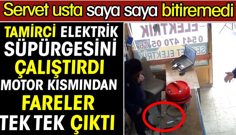 Tamirci elektrik süpürgesini çalıştırınca motor kısmından fareler tek tek çıktı! Saya saya bitiremedi
