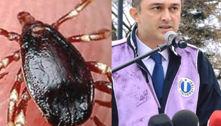 'Keneye dikkat'. Uzman isim uyardı