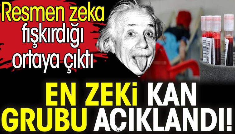 En zeki kan grubu açıklandı! Resmen zeka fışkırdığı ortaya çıktı