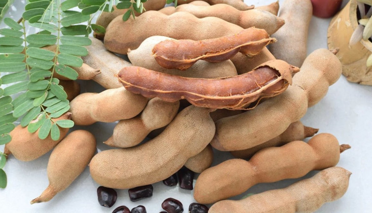 Kilo verdiriyor. Kabızlığı tarihe gömüyor. İşte şifa deposu o ot