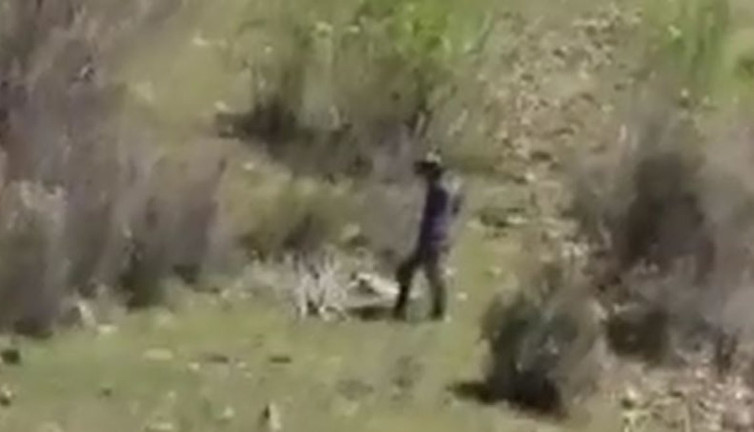 Mağaraya giren kurtlar katliam yaptı. Kimse tahmin edemedi