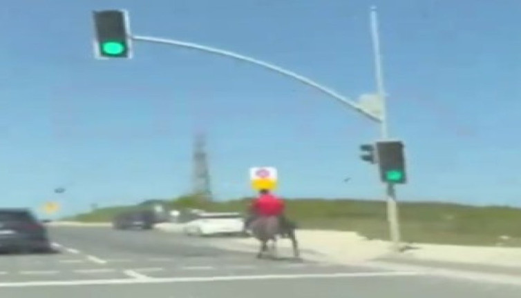 Dört nala yolculuk: Trafiğe atla çıktı