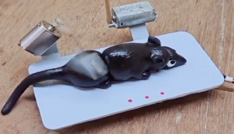 Sosyal medyada 'Yeni Nesil' olarak paylaşılan fare kapanı tepki çekti!