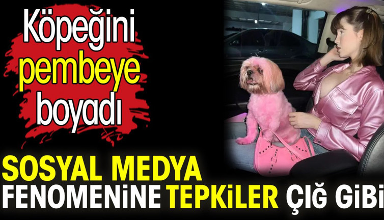 Köpeğini pembeye boyayan sosyal medya fenomenine tepkiler çığ gibi
