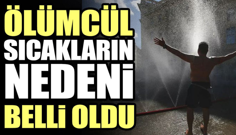 Ölümcül sıcakların nedeni belli oldu