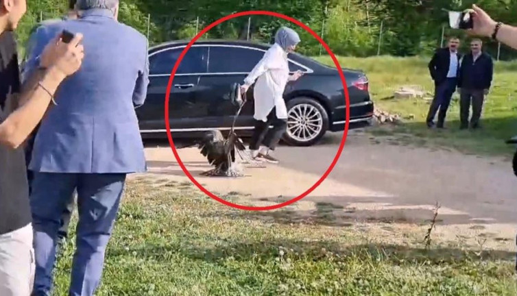 Valinin doğaya saldığı kartal kadına saldırdı