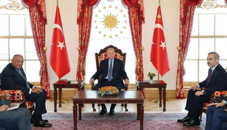 Erdoğan Mısır Dışişleri Bakanı Şukri'yi kabul etti
