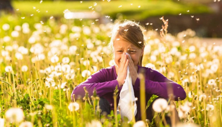 Çocukları polen alerjisinden koruma yöntemleri ortaya çıktı