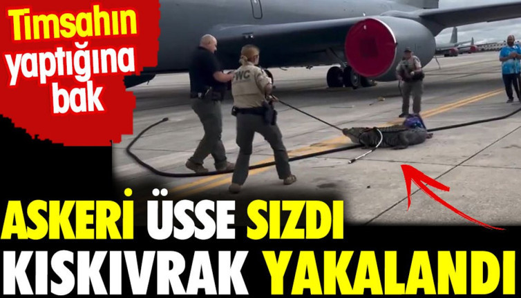 Askeri üsse sızdı kıskıvrak yakalandı. Timsahın yaptığına bak