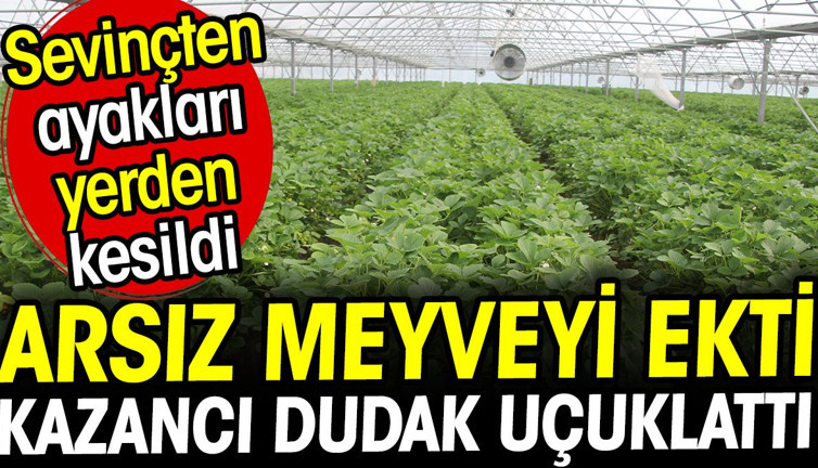 Arsız meyveyi ekti kazancı dudak uçuklattı! Sevinçten ayakları yerden kesildi