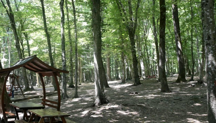 Hatay'da ormanlık alanlara giriş yasağı