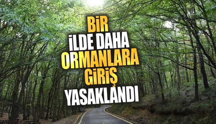 Bir ilde daha ormanlara giriş yasaklandı! 30 Kasım’a kadar sürecek
