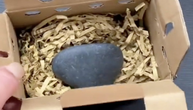 Yalnızlıkla mücadele etmek için taş sahiplendiler. Gençler için ilginç uygulama