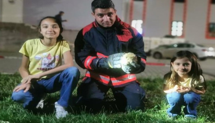 Rögar borusuna düşen kirpiler ekipler tarafından kurtarıldı