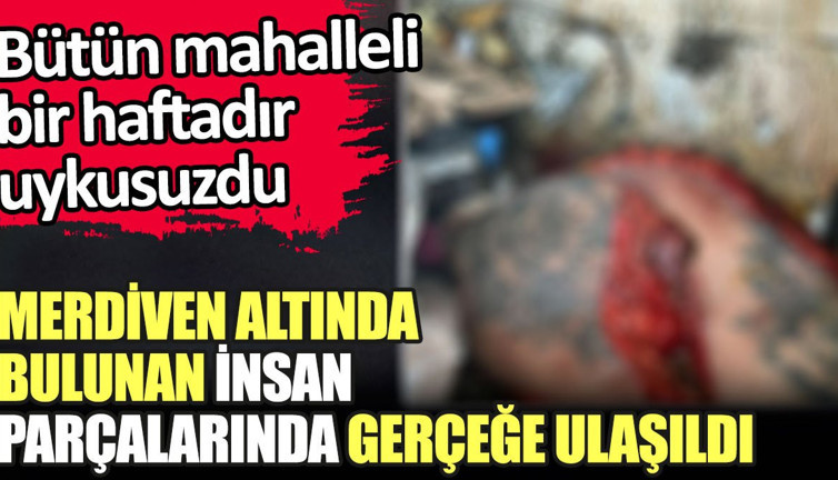 Merdiven altında bulunan insan parçalarında gerçeğe ulaşıldı. Bütün mahalleli bir haftadır uykusuzdu