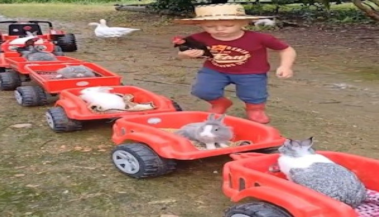 Akülü arabasıyla hayvanlarını gezdiren çocuk kalpleri eritti