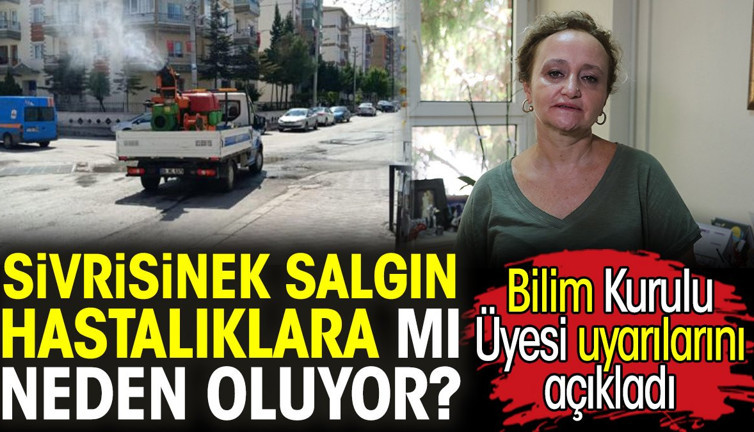 Sivrisinek salgın hastalıklara mı neden oluyor? Bilim Kurulu Üyesi uyarılarını açıkladı