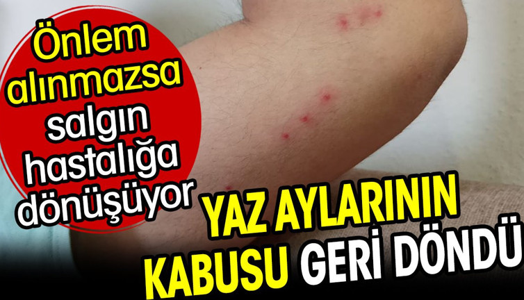Yaz aylarının kabusu geri döndü. Önlem alınmazsa salgın hastalığa dönüşüyor