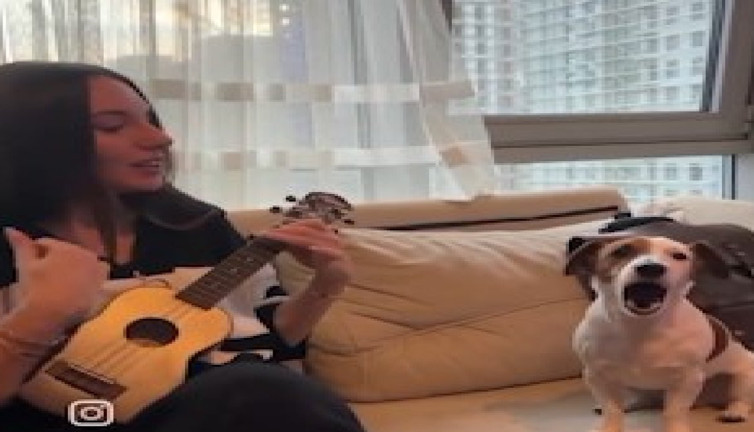 Sahibiyle düet yapan köpek sosyal medyayı salladı!