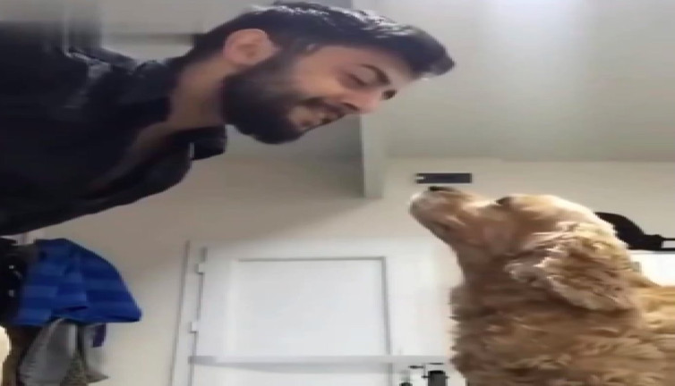 Türkü söyleyen sahibini hayranlıkla izleyen köpek kalpleri eritti