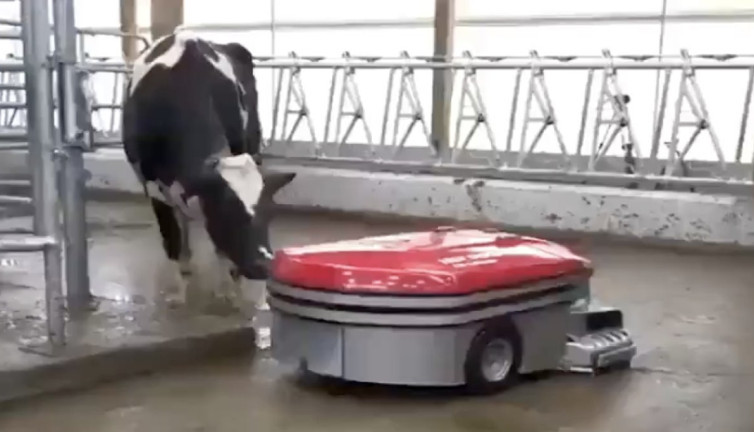 Robotlar geleceğin tarım ve hayvancılığı için bir çözüm mü?