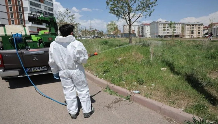 Ölümcül vakalar bahar aylarında arttı. Uzmanlardan uyarılar geldi