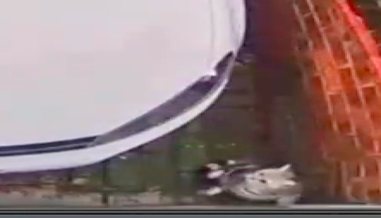 Pencereden düşen kedinin eve dönme çabası duygulandırdı